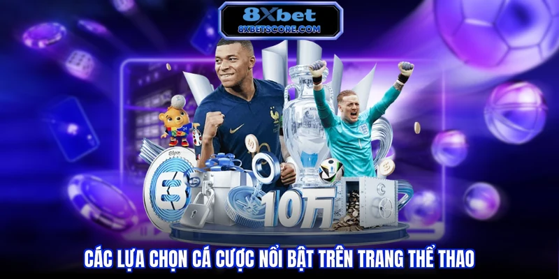 Các lựa chọn cá cược trên nền tảng thể thao