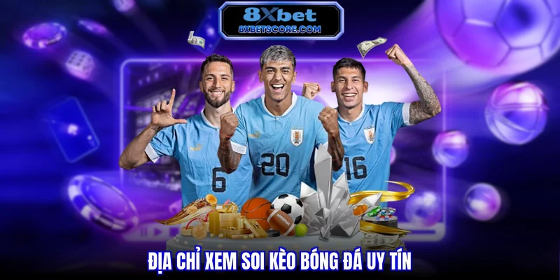 Các nguồn số liệu bóng đá đáng tin cậy